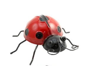 Wall Art - Ladybug (Small)