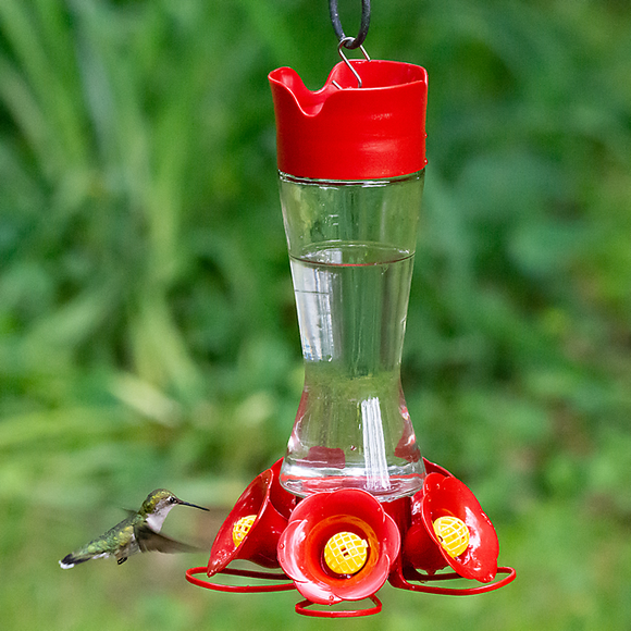 Hummingbird Feeder - Pinch Waist