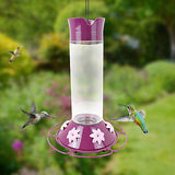 Hummingbird Feeder - Royal Berry (Glass)