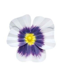 Pansy Wall Decor - White