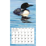 Calendar - Loons on the Lake