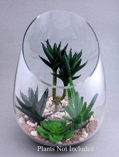 Terrarium Planter - Open Dome (Glass)