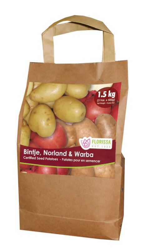 Potatoes - Bintje, Norland & Warba Mixed Pack (Seed potatoes)