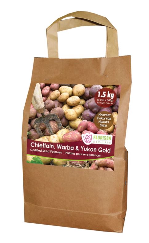 Potatoes - Chieftain, Warba & Yukon Gold Nugget Combo Sack (Seed Potatoes)