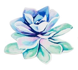 Screen Savers - Succulent Green with Blue Centre