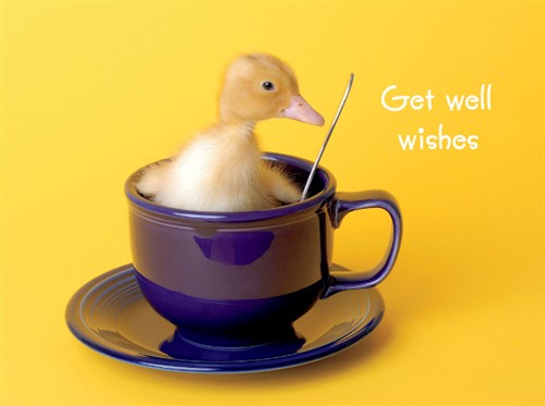 Get Well Card - Duckling