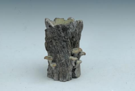 Tree Stump Planter - With Mushrooms