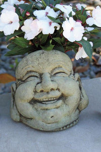 Laughing Face Statuary - Hoi Toi