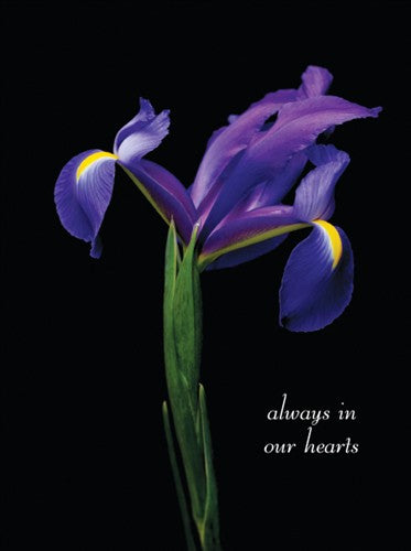 Sympathy Card - Always in our Hearts