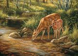 Puzzle - Deer Family