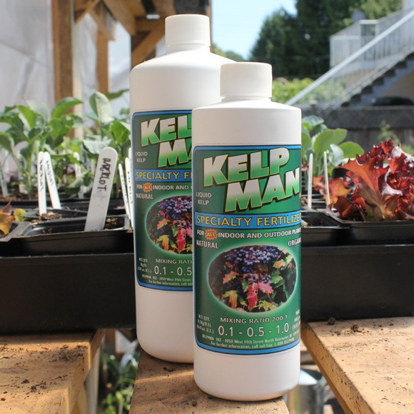 indoor plant fertilizer canada Kelpman