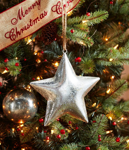 Ornament - Silver Star