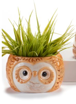 Cermic Planter - Owl