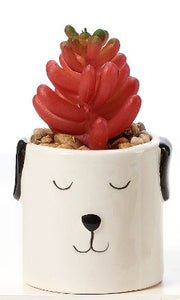 Potted Succulent - Ceramic Pot Artificial (Red)