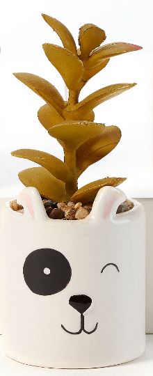 Potted Succulent - Ceramic Pot Artificial (Yellow)