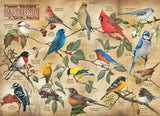 Puzzle - Backyard Birds of North America