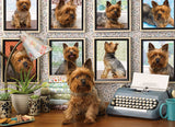 Puzzle - Yorkies Are My Type