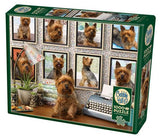 Puzzle - Yorkies Are My Type