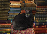 Puzzle - Library Cat