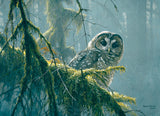 Puzzle - Mossy Branches Spotted Owl
