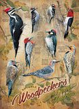 Puzzle - Notable Woodpeckers