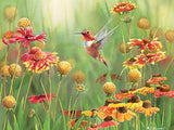 Puzzle - Rufous Hummingbird
