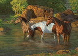 Puzzle - Horse Pond