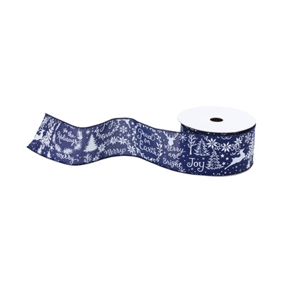 Ribbon - Blue and Silver with Writing