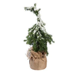 Tree - In Burlap Pot 10" (Small)