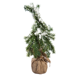 Tree - In Burlap Pot 15" (Large)