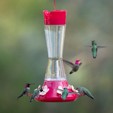 Hummingbird Feeder - Pinch Waist Glass