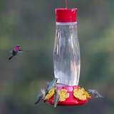 Hummingbird Feeder - Grand Master (Glass)