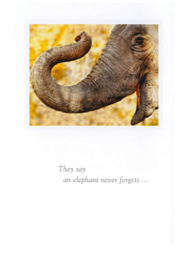 Thank You Card - Elephant