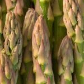 Asparagus - Mary Washington (Seeds)
