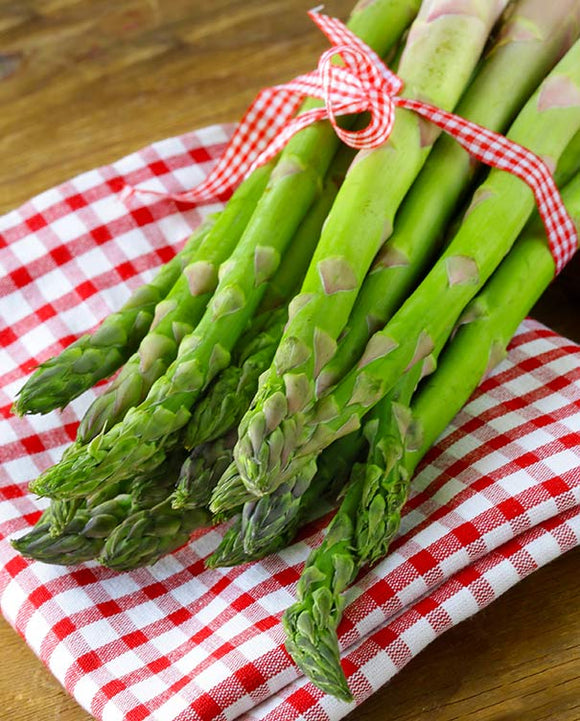 Asparagus - Mary Washington (Pot of up to 10 roots)