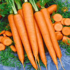 Carrot - Tendersweet (Seeds)