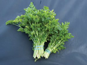 Celery - Amsterdam Leaf (Seeds)