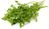 Chervil (Seeds)