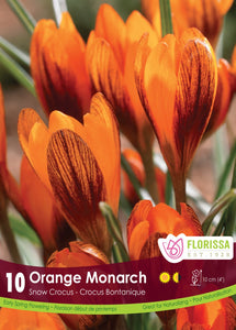 Crocus Bulbs - Orange Monarch