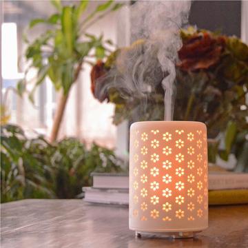 Diffuser - Daisy – Sunset Nursery
