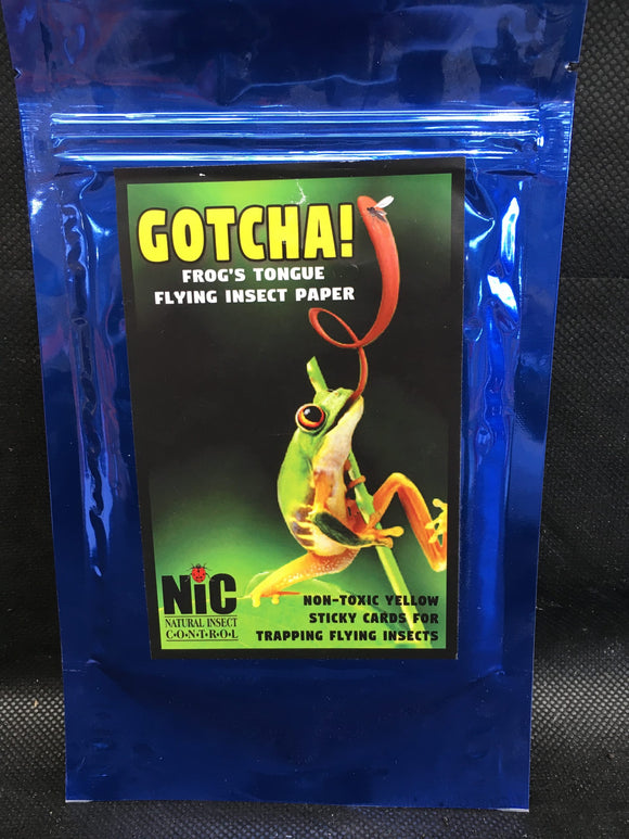 Gochad Insect Gotcha! Frog's Tongue - Sticky Insect Trap – Sunset Nursery