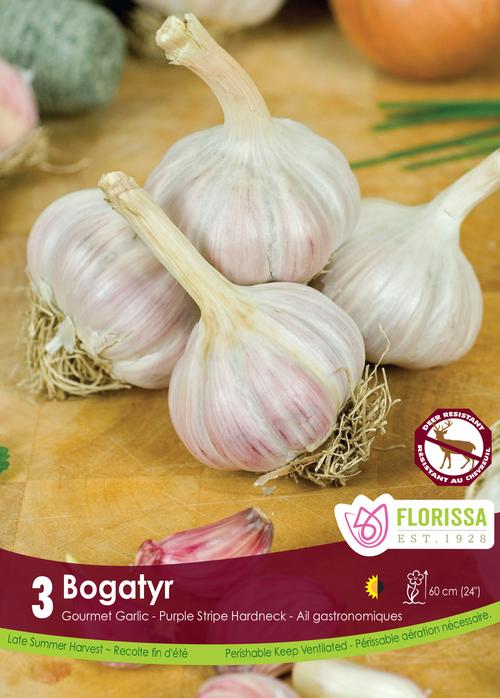 Garlic Bulbs - Bogatyr Gourmet