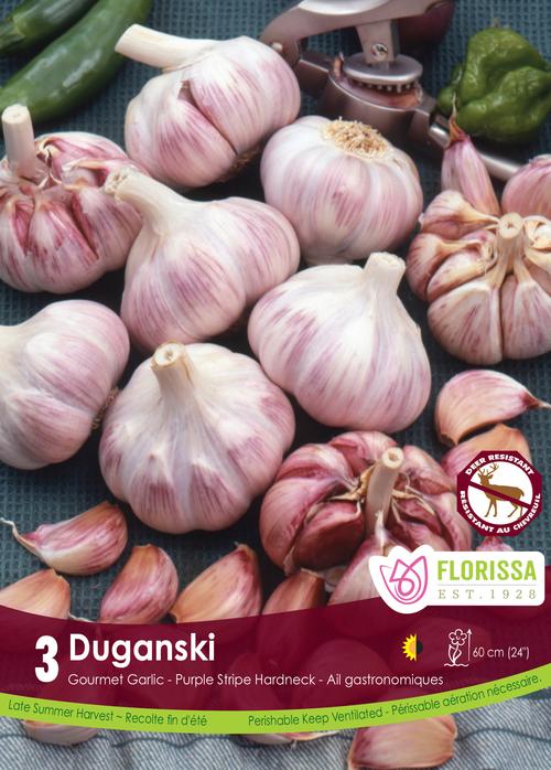 Garlic Bulbs - Duganski Tops
