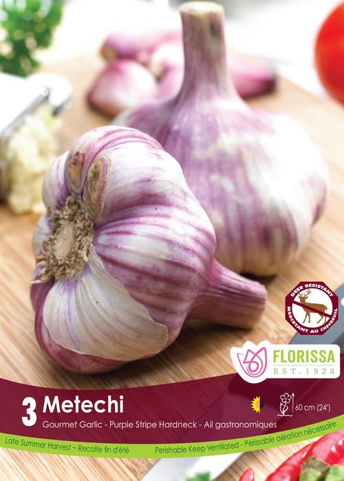 Garlic Bulbs - Metechi Tops