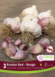 Garlic Bulbs - Russian Red Tops