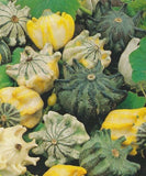 Gourds - Crown of Thorns (Seeds)