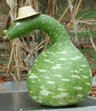 Gourds - Speckled Swan (Seeds)