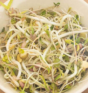 Green Hunter Blend Sprouts (Seeds)