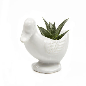 Planter - Lucy the Duck (White)
