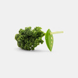 Kale and Greens Stripper - LooseLeaf